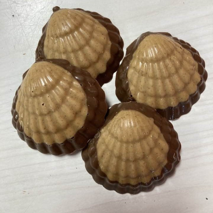 Chocolate Peanut Butter Seashells